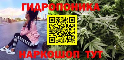 ECSTASY Заводоуковск