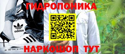 ECSTASY Заводоуковск