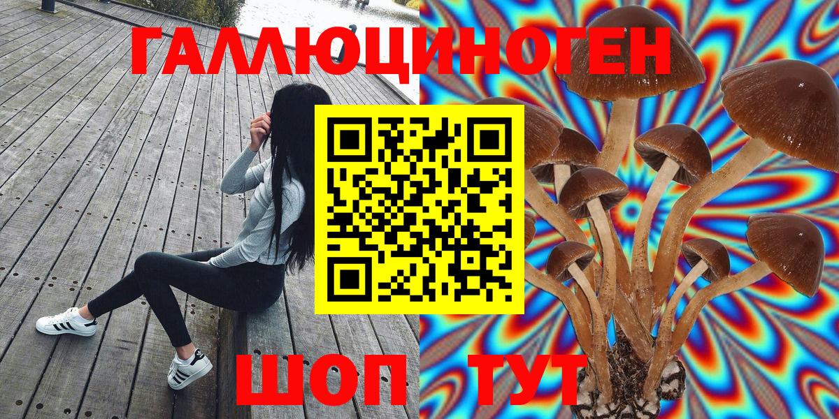 Галлюциногенные грибы GOLDEN TEACHER  Вход с VPN  Полысаево 